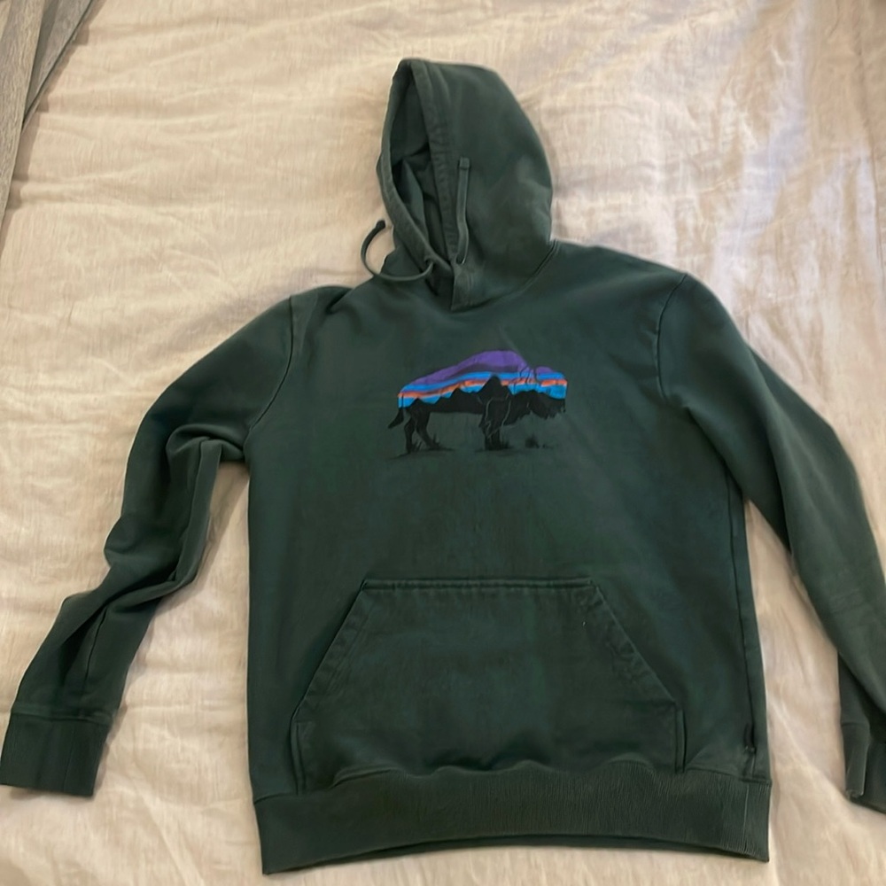 Patagonia Green Hoodie with Multicolor Buffalo Graphic